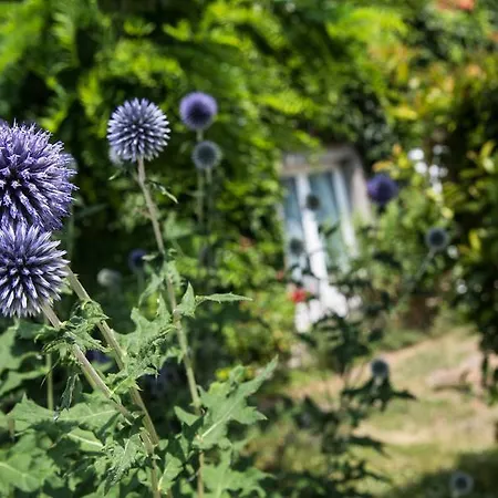 De Bretonniere - Groupe Logis Hotel Beaune (Cote d'Or)
