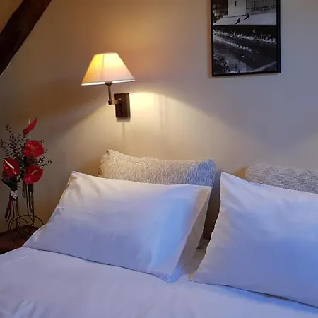 Logis De Bretonniere - Centre