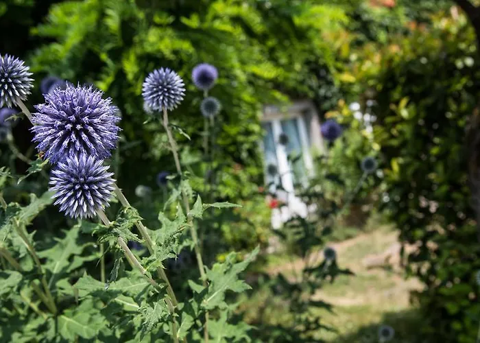 De Bretonniere - Groupe Logis Готель Бон