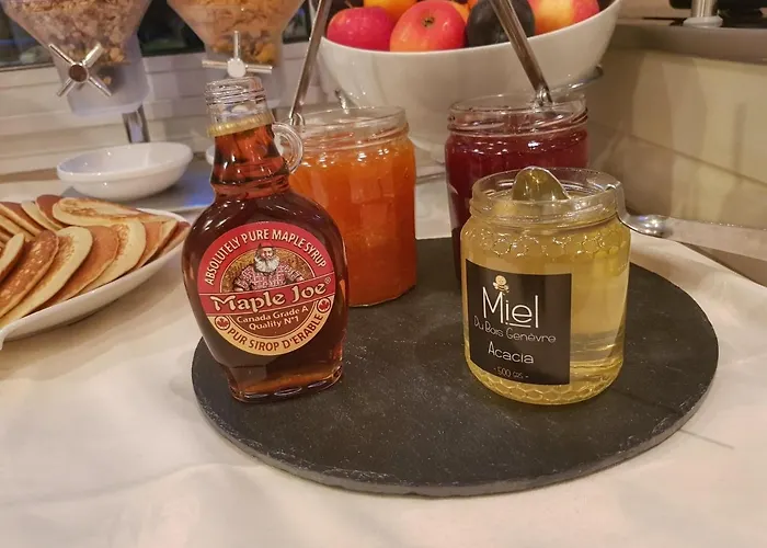 De Bretonniere - Groupe Logis Hotel Beaune (Cote d'Or)